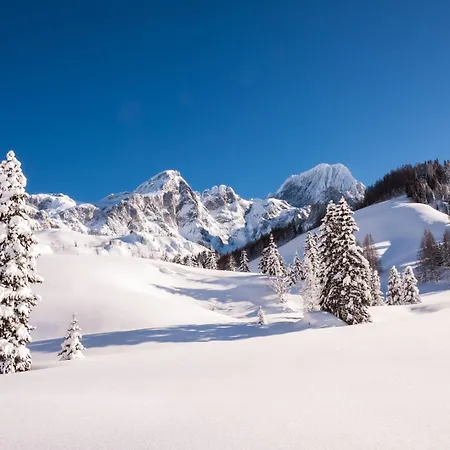 Krahlehenhof 3* フィルツモース