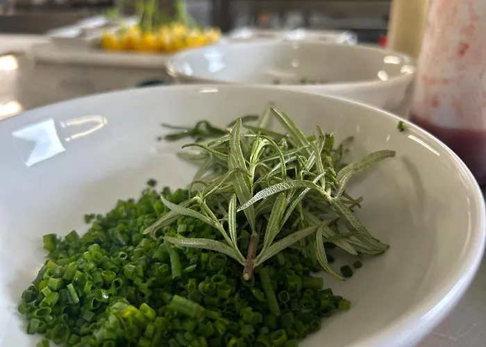 Krahlehenhof Konukevi Filzmoos